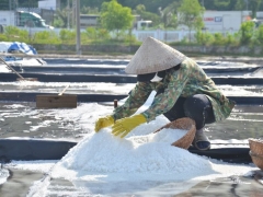 Giá muối ở Quảng Ngãi tăng kỷ lục, diêm dân không còn muối để bán