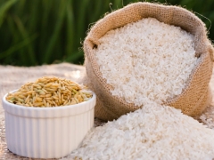 Giá lúa gạo hôm nay 30/9: Tăng 100 đồng/kg
