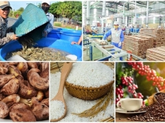Tập trung tăng sức sản xuất, bảo đảm đủ nguồn cung lương thực thực phẩm những tháng cuối năm