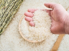 Giá lúa gạo hôm nay 4/10: Thị trường giao dịch sôi động trở lại
