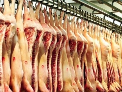 Chuyên gia khẳng định: Lượng thịt heo nhập khẩu trong 10 tháng năm 2023 tăng, không ảnh hưởng đến việc giá heo hơi trong nước giảm