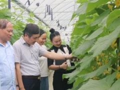 Ban Quản lý An toàn thực phẩm Bắc Ninh xác nhận 67 chuỗi cung ứng thực phẩm an toàn