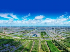 Việt Nam cần đầu tư thêm khoảng 368 tỷ USD để phát triển kinh tế xanh