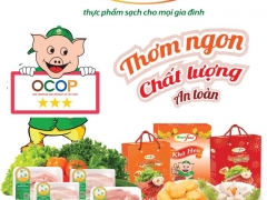 Sagrifood chuẩn bị nguồn hàng cho Tết Giáp Thìn 2024