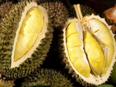 Việt Nam là nguồn cung sầu riêng lớn thứ hai vào Trung Quốc