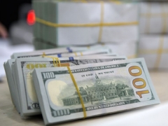 Tỷ giá USD hôm nay 11/12: Nỗ lực phục hồi mốc 104