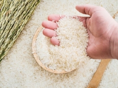 Giá lúa gạo hôm nay 19/4: Đi ngang, cuối vụ Đông Xuân nguồn hàng ít