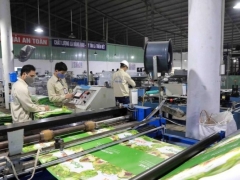 Lãi sau thuế của Thuận Đức (TDP) tăng 65% trong quý I/2024