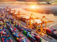 Hỗ trợ doanh nghiệp giải quyết vụ việc liên quan đến lô hàng nhập khẩu từ UAE