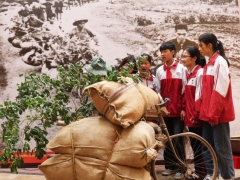 Bắc Ninh: Trưng bày chuyên đề “Chiến thắng Điện Biên Phủ - Sức mạnh Việt Nam - Tầm vóc thời đại’’
