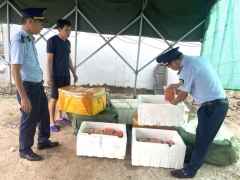 Quảng Ninh thu giữ 800 kg trứng gà non không rõ nguồn gốc