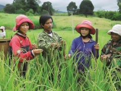 Giảm nghèo là thành tựu trong bảo vệ quyền con người ở Việt Nam
