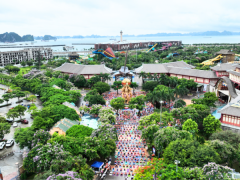 Gần 2.000 người đồng diễn tại Festival Yoga mùa hè 2024
