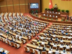 Đại biểu Quốc hội băn khoăn đề xuất Hà Nội được quyết dự án chuyển đổi trên 1.000 ha đất rừng, 500 ha đất lúa