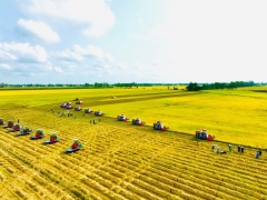 Agribank: Nhiều giải pháp ưu tiên vốn cho nông nghiệp công nghệ cao