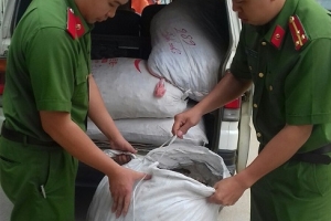 Lạng Sơn: Bắt 2 xe ô tô vận chuyển thuốc bắc nhập lậu