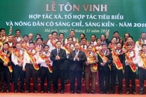 Tôn vinh Hợp tác xã, Tổ hợp tác tiêu biểu và nông dân có sáng chế, sáng kiến năm 2016
