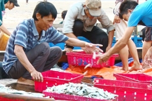 Chỉ đạo của PTT Trương Hòa Bình sau sự cố môi trường tại 4 tỉnh miền Trung
