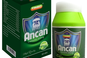 Công ty CP Triệu Sơn bị phạt 65 triệu đồng vì quảng cáo sai quy định