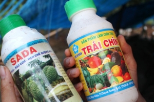 Tác hại khi sử dụng thuốc thúc chín trái cây