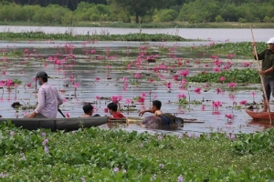 Phát hiện thi thể nổi trên sông Đầm