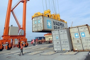 Đầu mối xuất khẩu gạo phải có vùng nguyên liệu