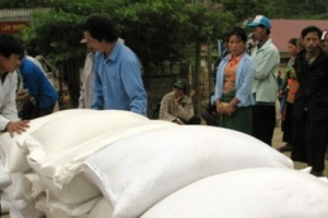 Hỗ trợ gạo cho công tác bảo vệ rừng