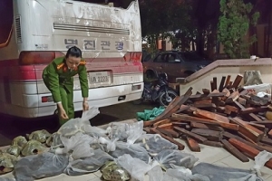 Quảng Trị: Bắt xe chở động vật và lâm sản không rõ nguồn góc