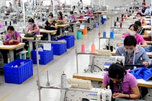 Hỗ trợ tái cơ cấu kinh tế nâng cao năng lực cạnh tranh