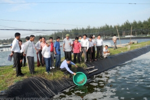 Trợ giá lưu giữ, sản xuất giống gốc giống thủy sản
