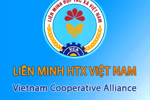 Hoàn thiện Điều lệ Liên minh Hợp tác xã Việt Nam