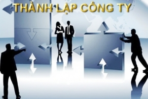 Năm 2016: 110.100 doanh nghiệp được thành lập
