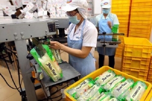 Cổ phần hóa TCT Lương thực miền Nam: Nhà nước giữ 51% vốn