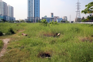 Hải Phòng: Sẽ thu hồi đất đối với CĐT chậm triển khai thực hiện dự án