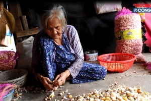 Xóm hành tỏi nghèo giữa Sài Gòn vào vụ Tết