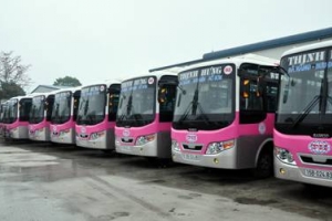 Hải Phòng: Chấp thuận mở tuyến vận tải hành khách nội tỉnh bằng xe buýt