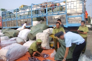 Kiện toàn hoạt động của Ban Chỉ đạo 389 quốc gia