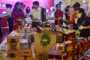 Tăng cường hợp tác giữa Việt Nam - Nam Phi