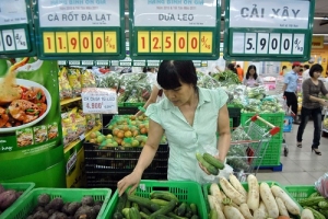 Kim ngạch xuất nhập khẩu đạt 29,3 tỷ USD trong tháng 1