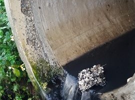 Cung cấp sai số liệu quan trắc chất thải bị phạt đến 100 triệu