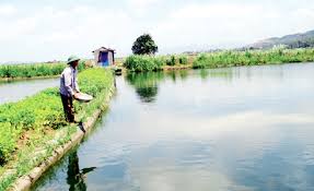 Hướng dẫn áp dụng quy định miễn, giảm tiền thuê đất