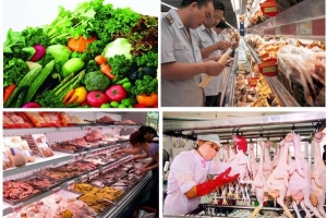 2017: “Năm cao điểm hành động về VSATTP trong lĩnh vực nông nghiệp”