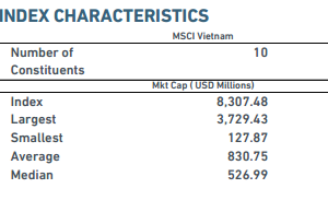 Duy nhất 2 cổ phiếu Việt Nam vào rổ MSCI Frontier Markets Index