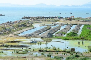 Dự án Nha Trang Sao: Đầu tư hay “đầu cơ đất”?
