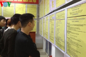 Năm 2017: Khoảng 20 vạn sinh viên ra trường thất nghiệp