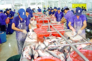 Nuôi trồng thủy sản ước đạt 210.000 tấn trong tháng 1