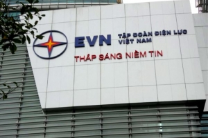 Chính phủ ban hành NĐ mới về quản lý tài chính đối với Tập đoàn Điện lực Việt Nam