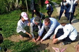Hải Phòng: Khởi động Dự án rừng và đồng bằng tại huyện Tiên Lãng