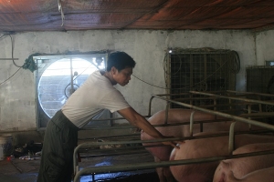 Xã Đông Du (Bình Lục, Hà Nam): Chân dung “ông vua” mô hình chăn nuôi đa canh