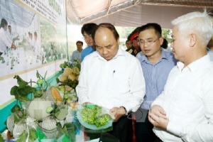 Sớm trình Thủ tướng về tiêu chí nông nghiệp công nghệ cao